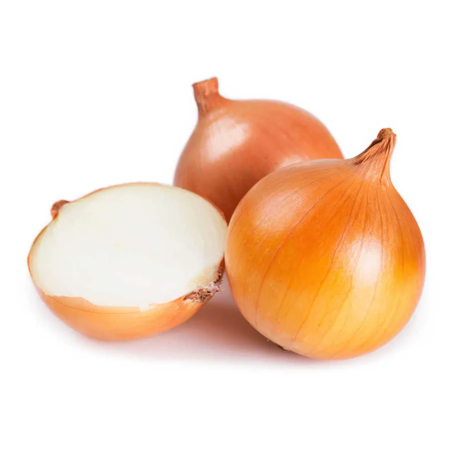 Soğan | Zeybek Tarım