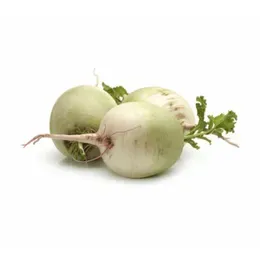 Beyaz Turp | Zeybek Tarım