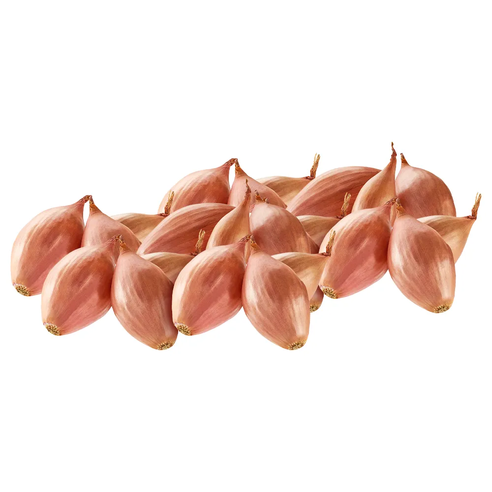 Arpacık Soğanı | Zeybek Tarım