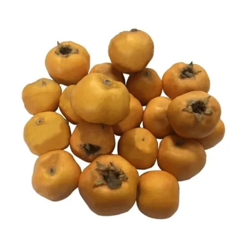 Alıç | Zeybek Tarım