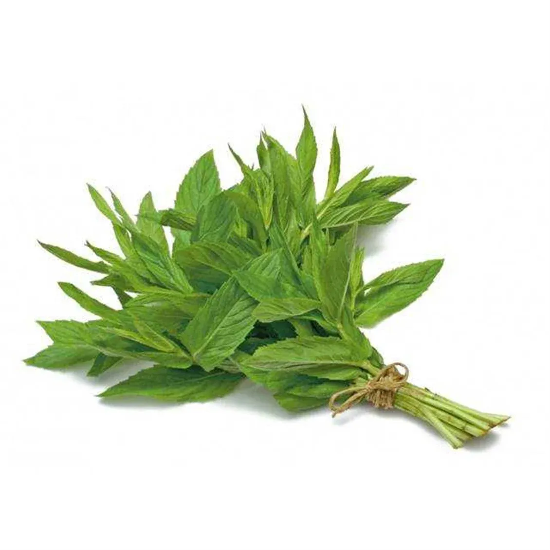 Nane | Zeybek Tarım